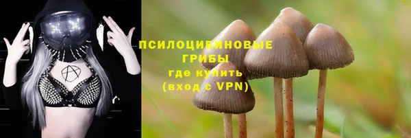 мескалин Алексеевка