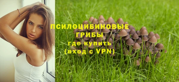 круглые Алексин