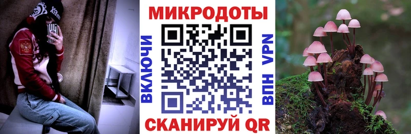 как найти   Нефтекумск  Галлюциногенные грибы Magic Shrooms 