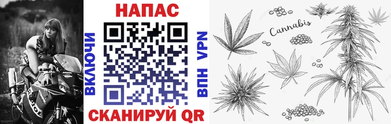 МАРИХУАНА индика Нефтекумск